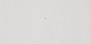 LIGHT GREY NAT. 120X60 II GAT